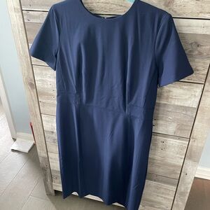 Ann Taylor Dress sz 12P